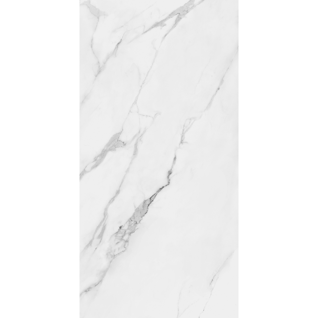 Torino Carrara Marble Effect Matt Porcelain 60x120cm