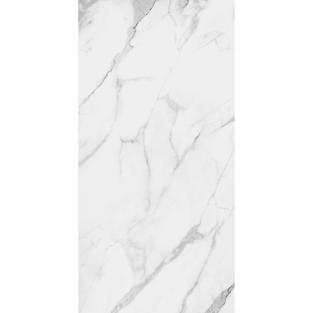 Torino Carrara Marble Effect Matt Porcelain 60x120cm