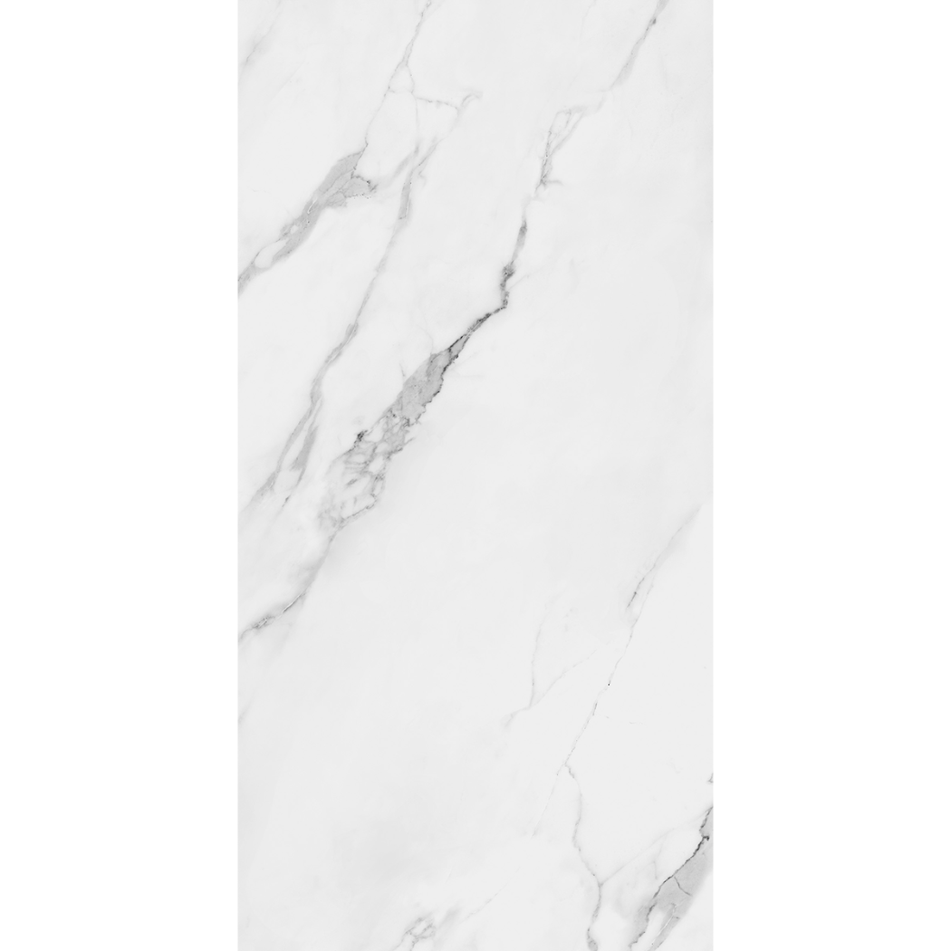 Torino Carrara Marble Effect Matt Porcelain 60x120cm