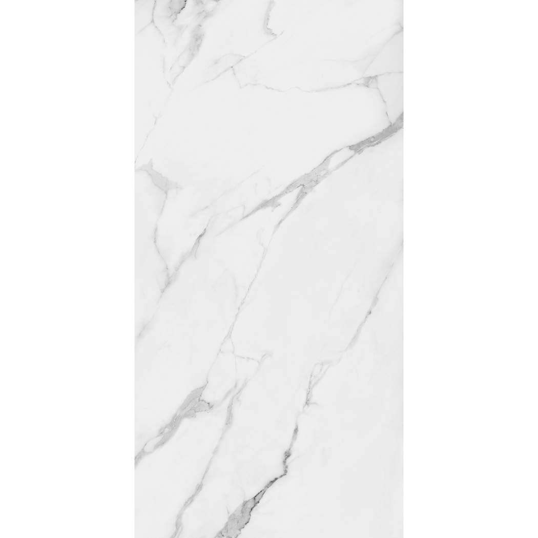 Torino Carrara Marble Effect Matt Porcelain 60x120cm