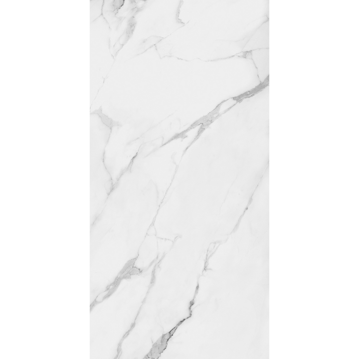 Torino Carrara Marble Effect Matt Porcelain 60x120cm