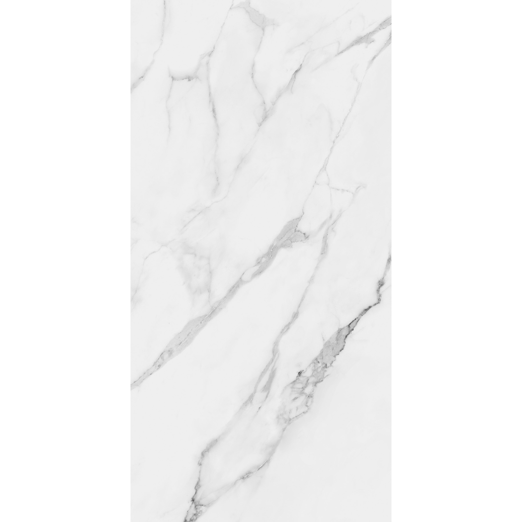 Torino Carrara Marble Effect Matt Porcelain 60x120cm
