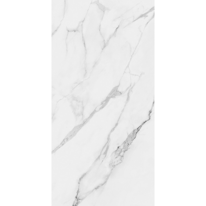 Torino Carrara Marble Effect Matt Porcelain 60x120cm